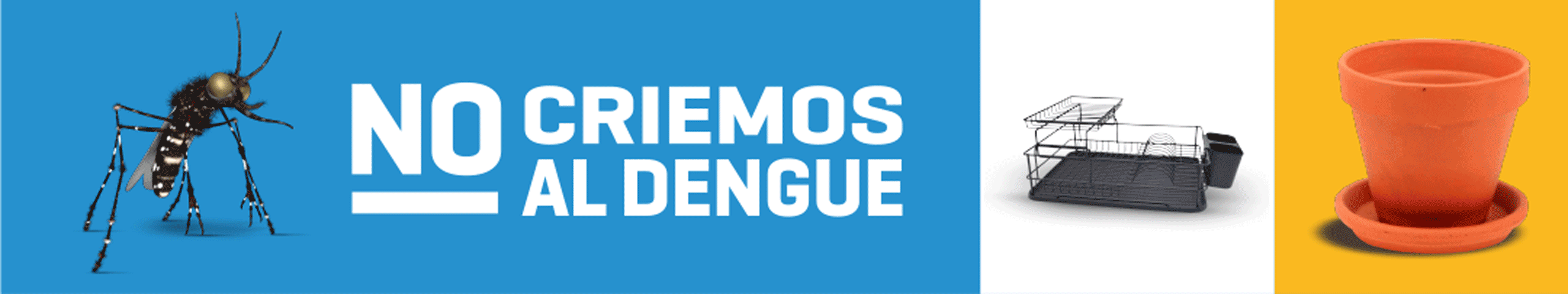 DENGUE